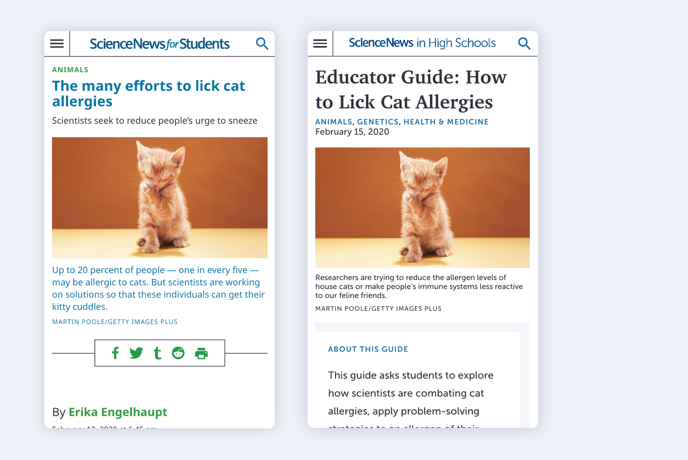 Images of the mobile sites for Science News for Students and Science News in High Schools, with a headline about cat allergies and a picture of a small kitten
